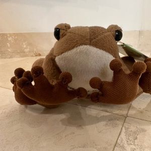 Nice Frog from Puerto Rico